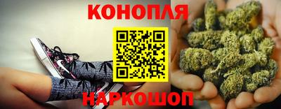 индика Боровичи