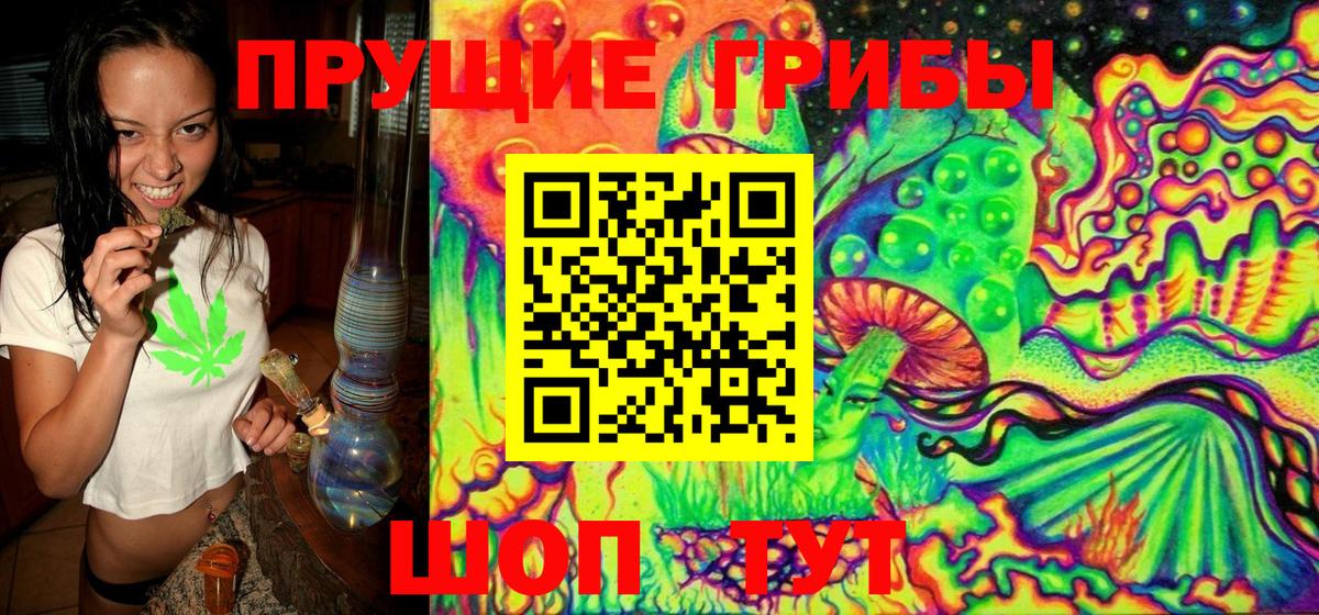Ишимбай  Псилоцибиновые грибы Psilocybe  Вход с VPN  Галлюциногенные грибы MAGIC MUSHROOMS 