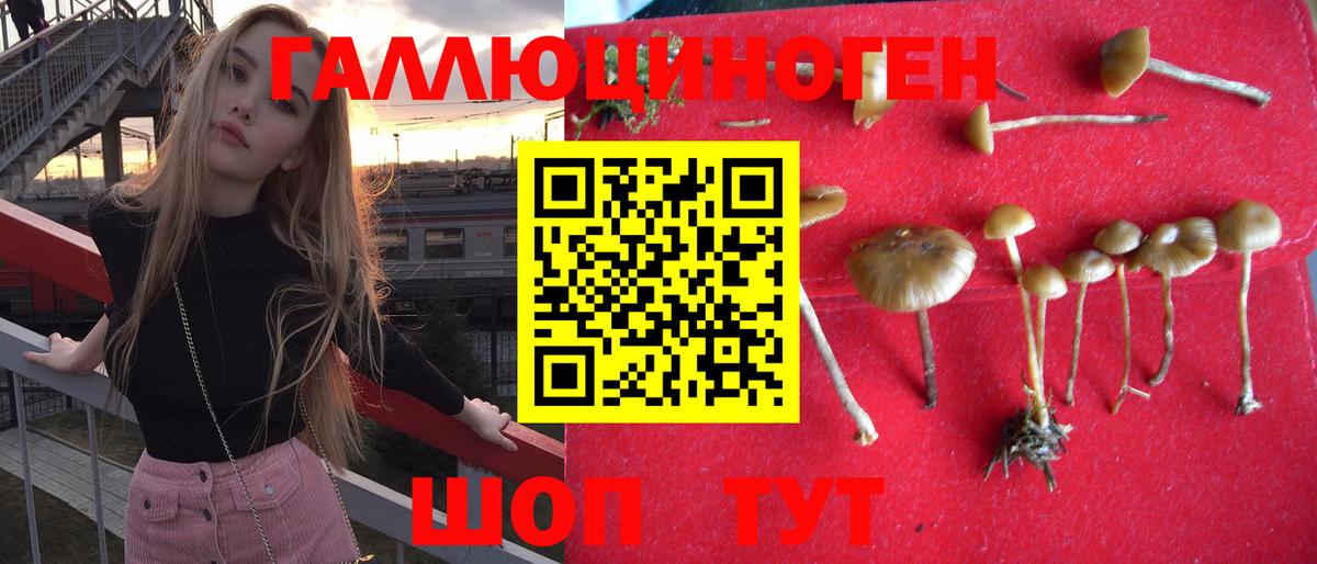Псилоцибиновые грибы GOLDEN TEACHER Ишимбай